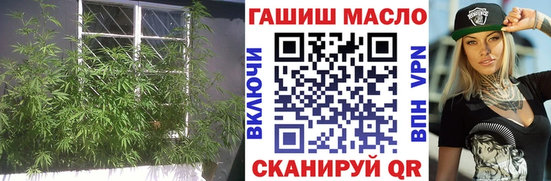 ссылка на мегу   магазин    Дагестанские Огни  ТГК гашишное масло 