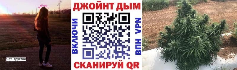 Бошки марихуана план  Дагестанские Огни 